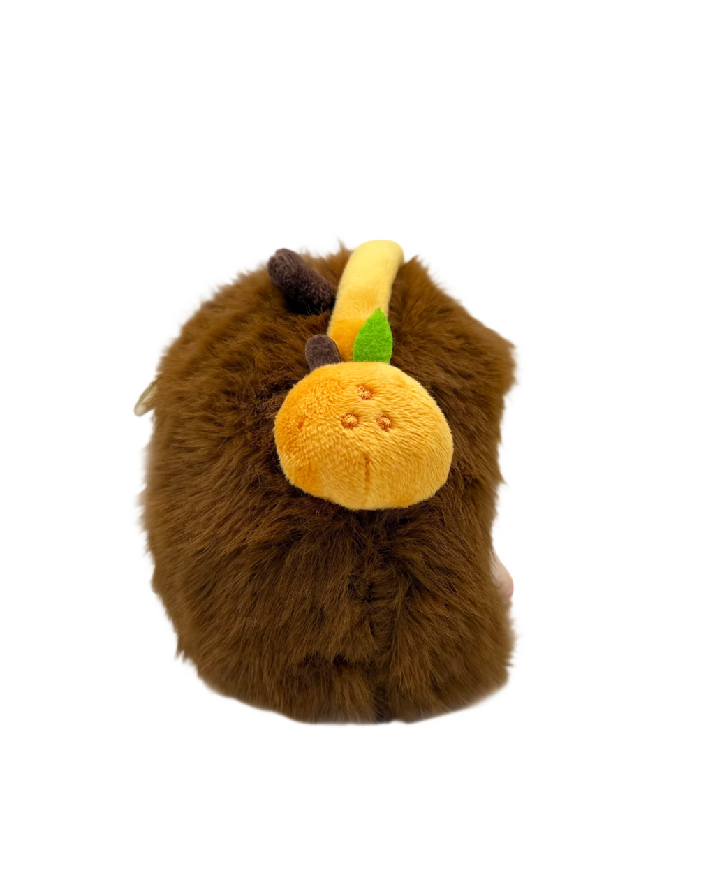 Capybara